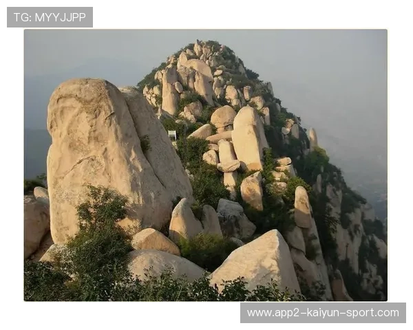 世界登山青年导师生态课堂全国示范网络扩容公告，世界登山协会
